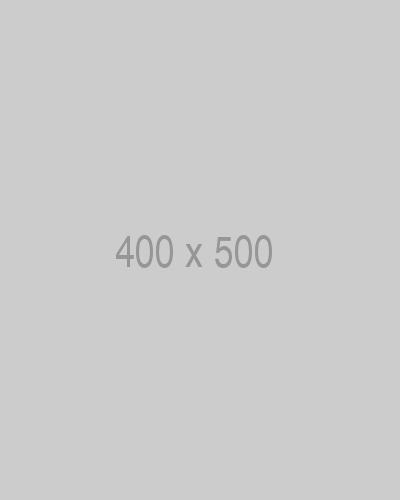 litho 400x500 ph