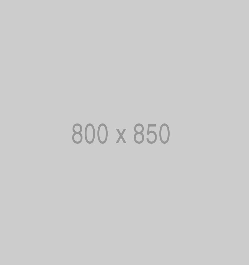 litho 800x850 ph